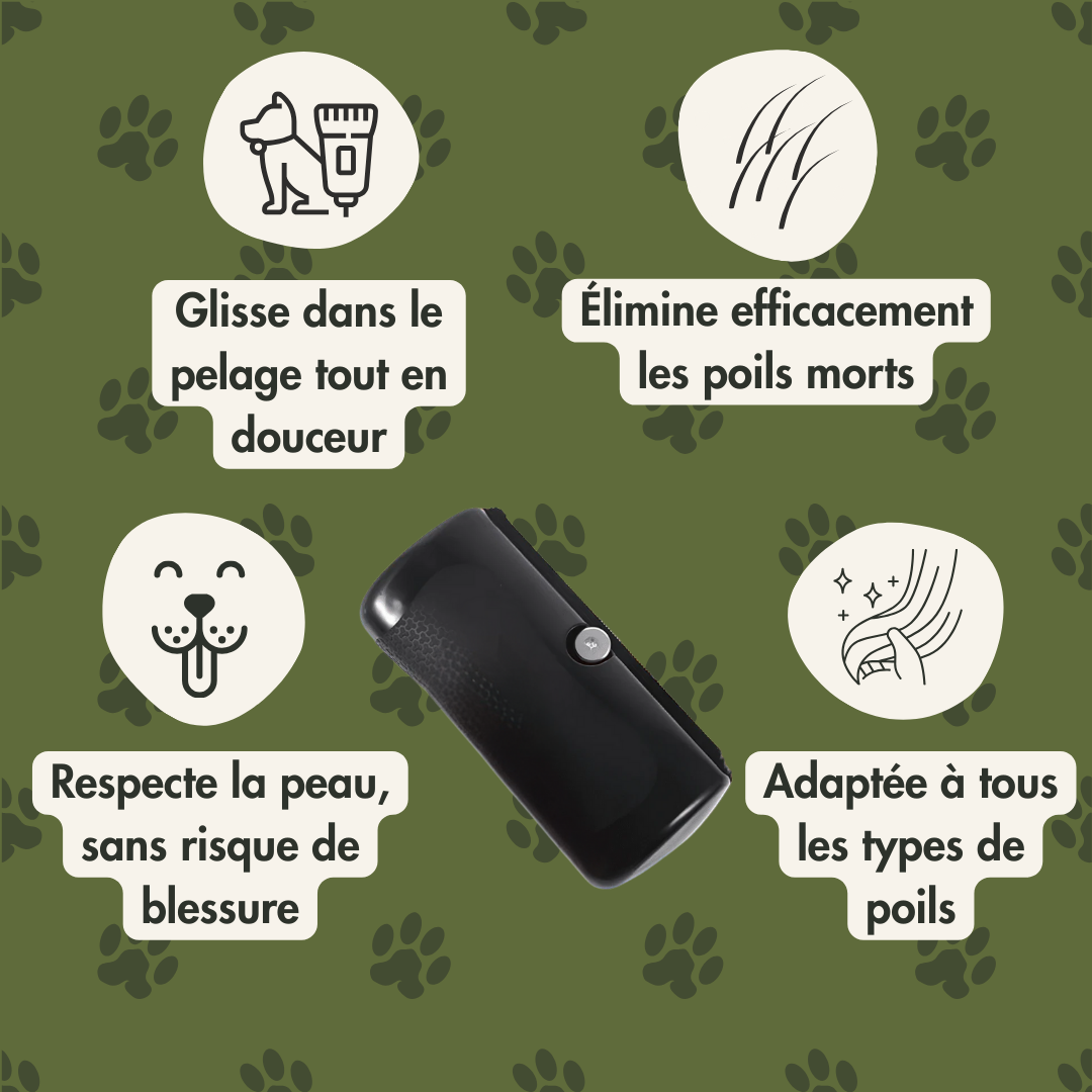 Croq'Poil™ - La brosse parfaite pour la mue de votre chien