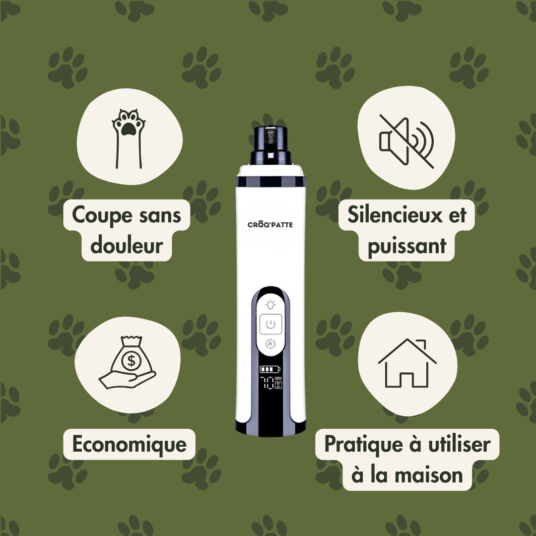 LimeZen™ - Lime électrique