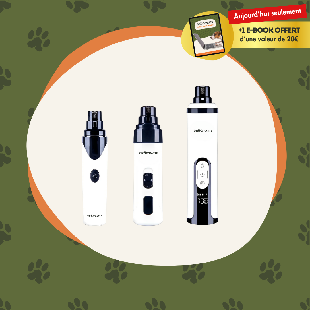 LimeZen™ - Lime électrique