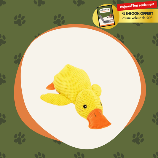 CoinCoin™ - Canard anti-stress