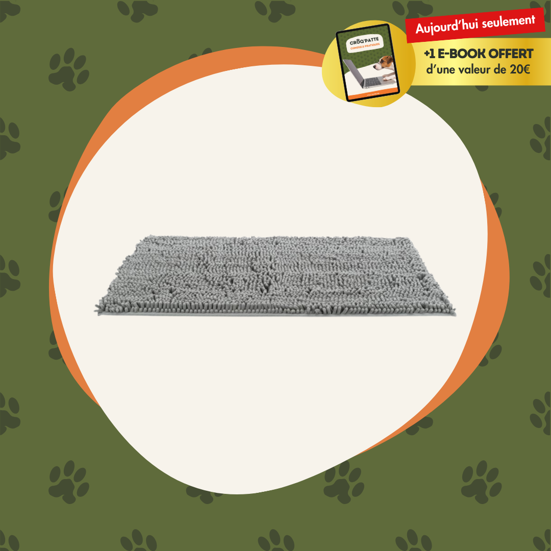 CleanCroq™ - Le tapis pour chien ultra-absorbant