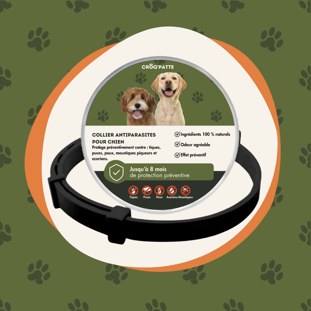 Collier anti-tiques 100% naturel pour chiens