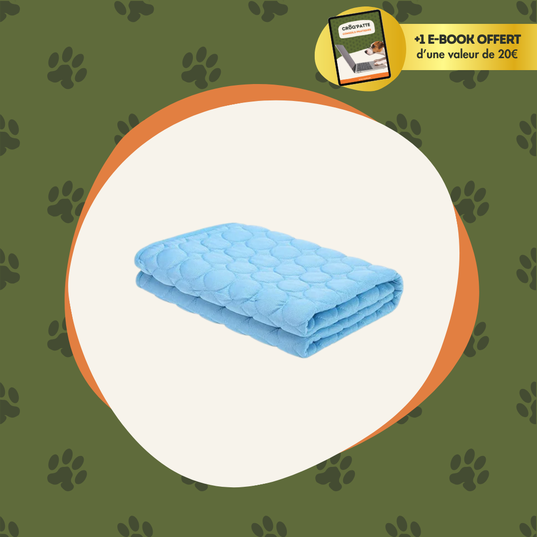 Croq’Fresh™ - Le tapis rafraîchissant pour chien pour l'été
