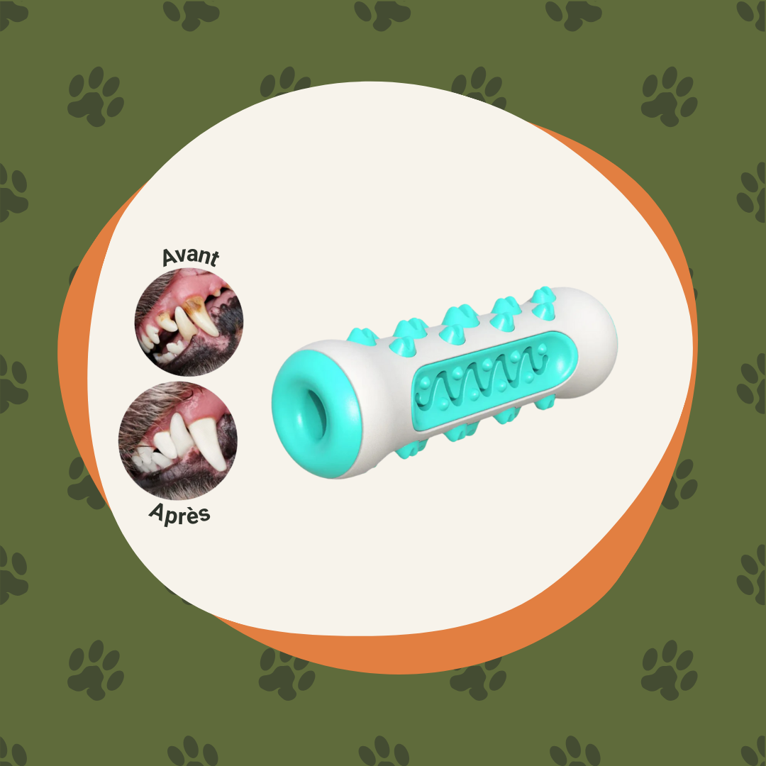 La solution ultime contre les poils