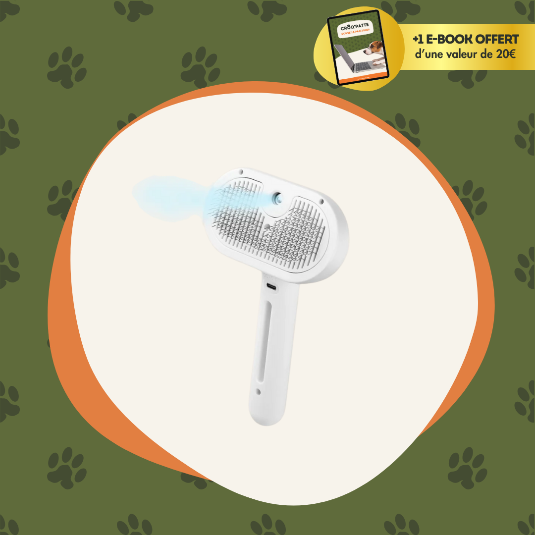 SteamPoils™ - La brosse vapeur professionnelle pour chien