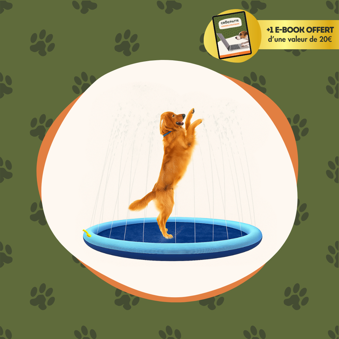 Splash'Patte -  La fontaine pour chien spéciale Été