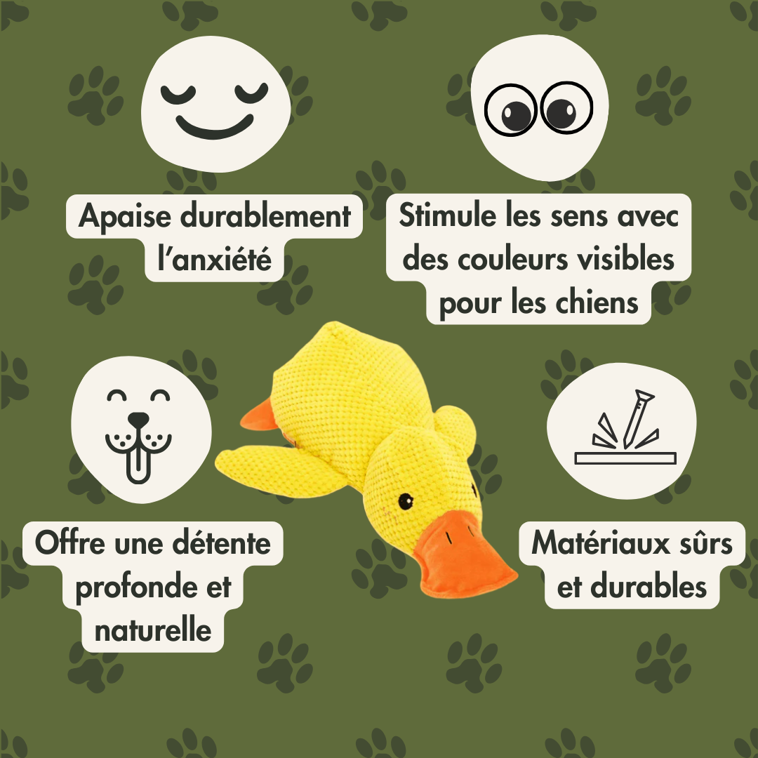 CoinCoin™ - Canard anti-stress