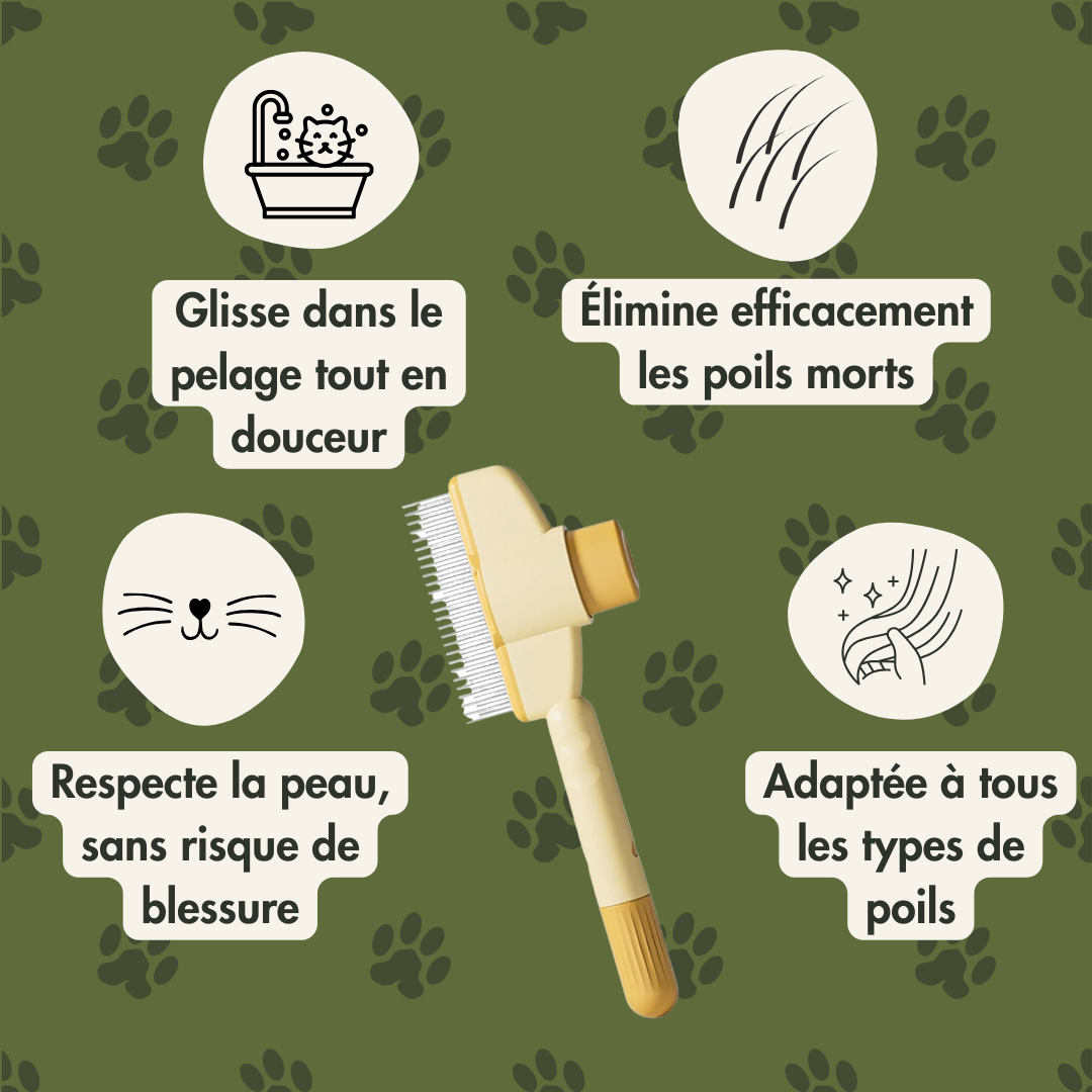 Cat'Peign - Le peigne indispensable pour les chats