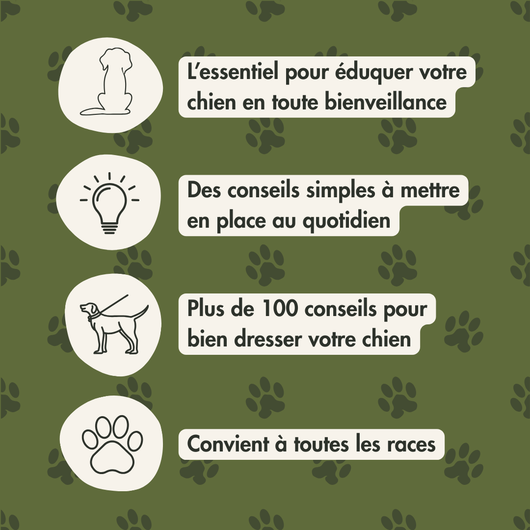 E-Book - L'essentiel pour savoir éduquer, nourrir et chouchouter son chien