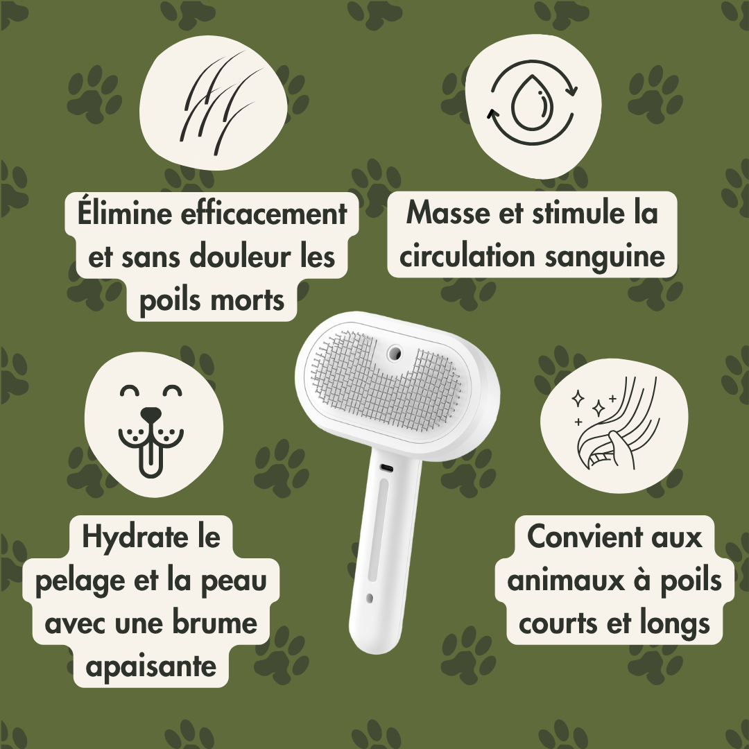 SteamPoils™ - La brosse vapeur professionnelle pour chien