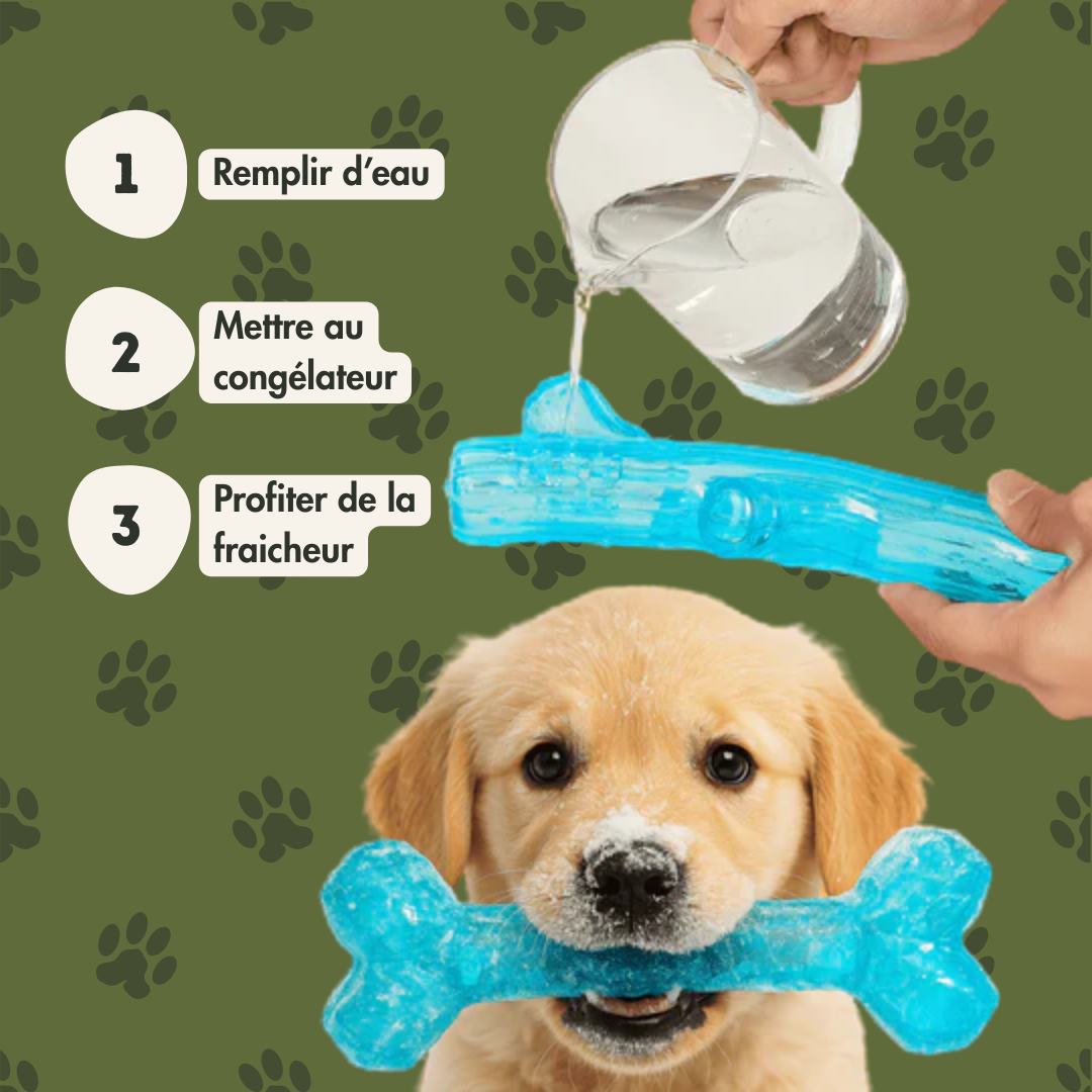 Frozz'os - L'os congelé