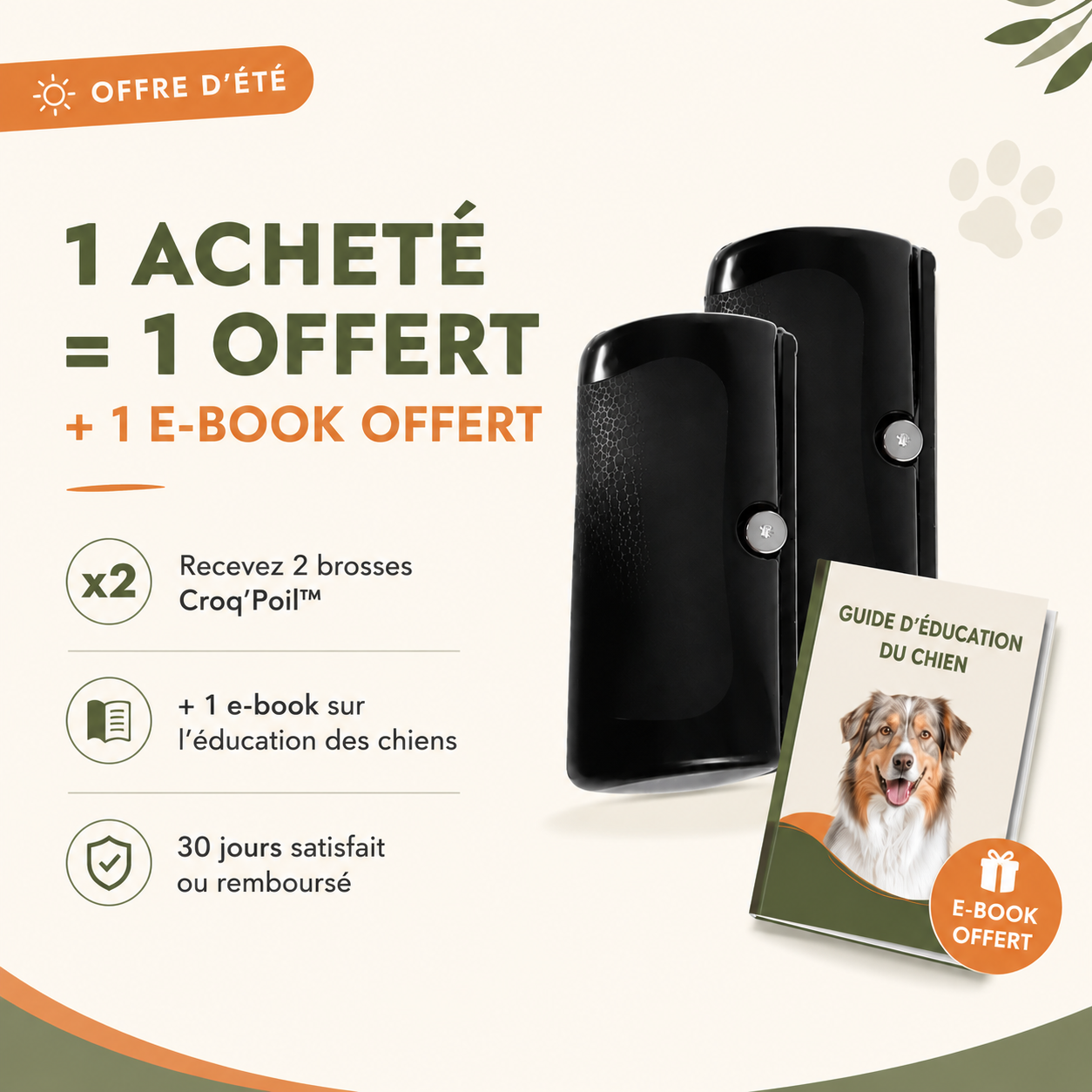 Croq'Poil™ - La brosse parfaite pour la mue de votre chien