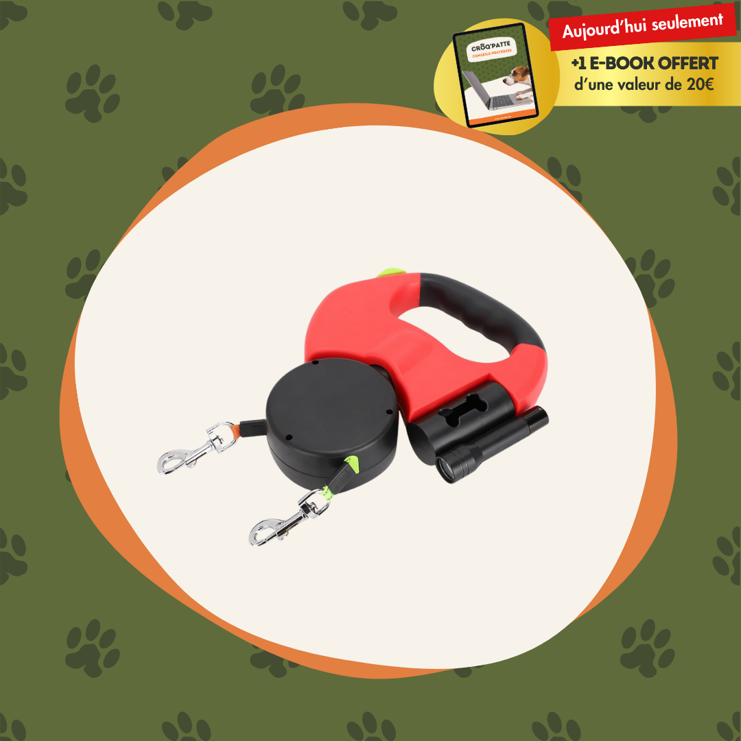 Laisse Tandem - Promener deux chiens facilement