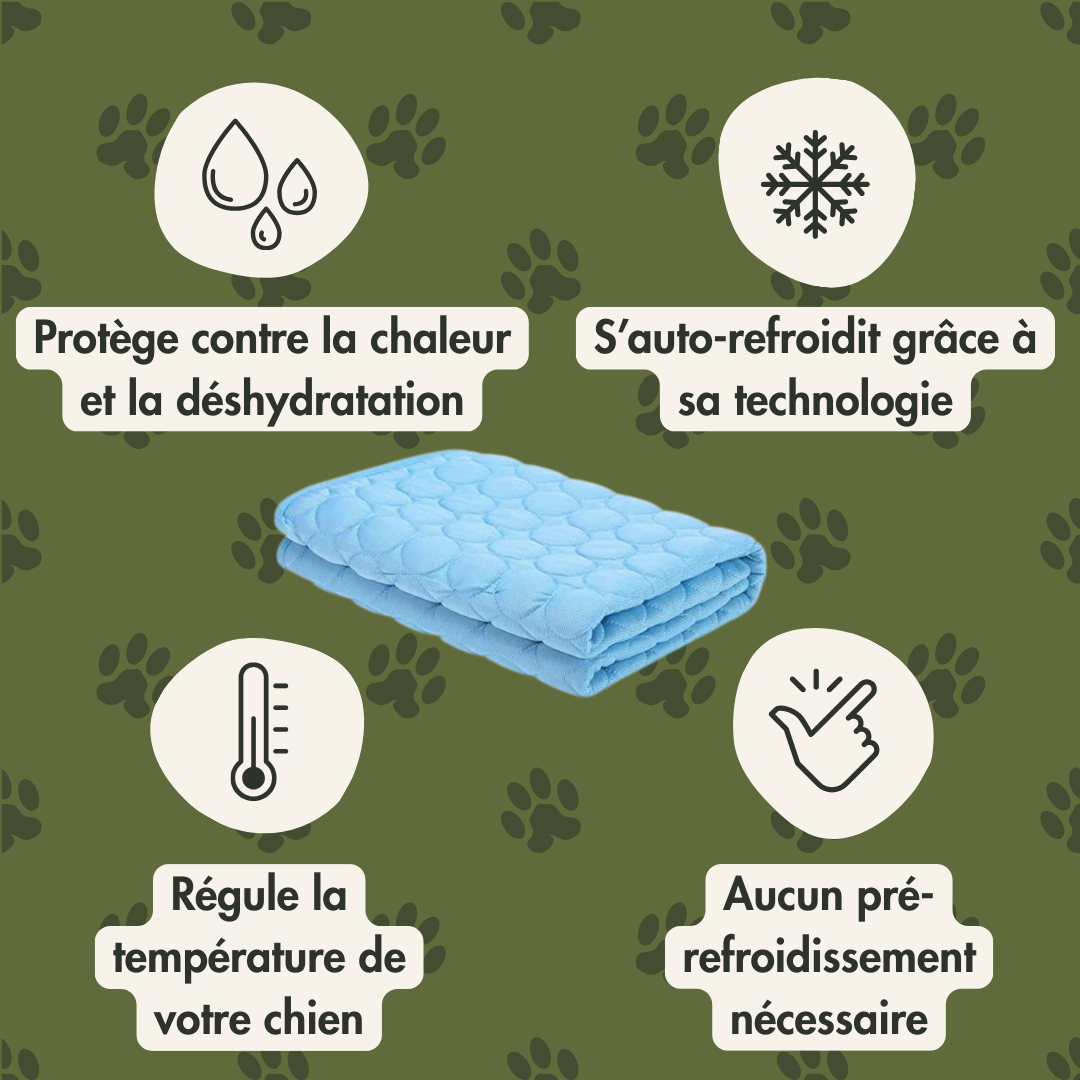 Croq’Fresh™ - Le tapis rafraîchissant pour chien pour l'été