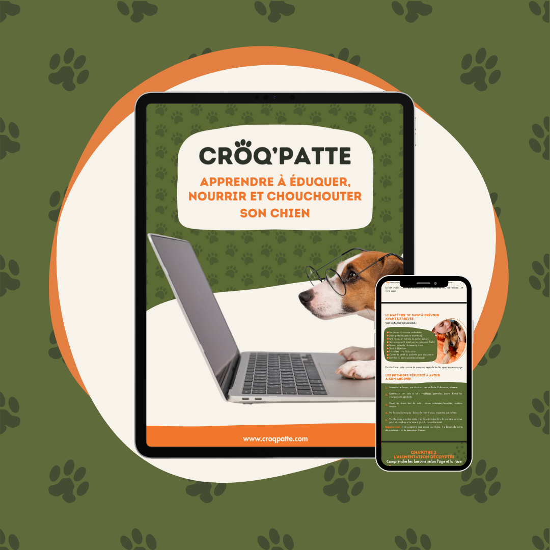 E-Book - L'essentiel pour savoir éduquer, nourrir et chouchouter son chien