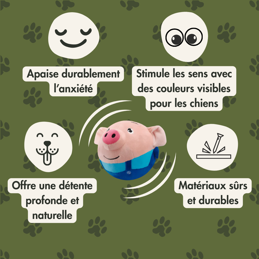 Pepadingo™ - Le cochon complètement dingo