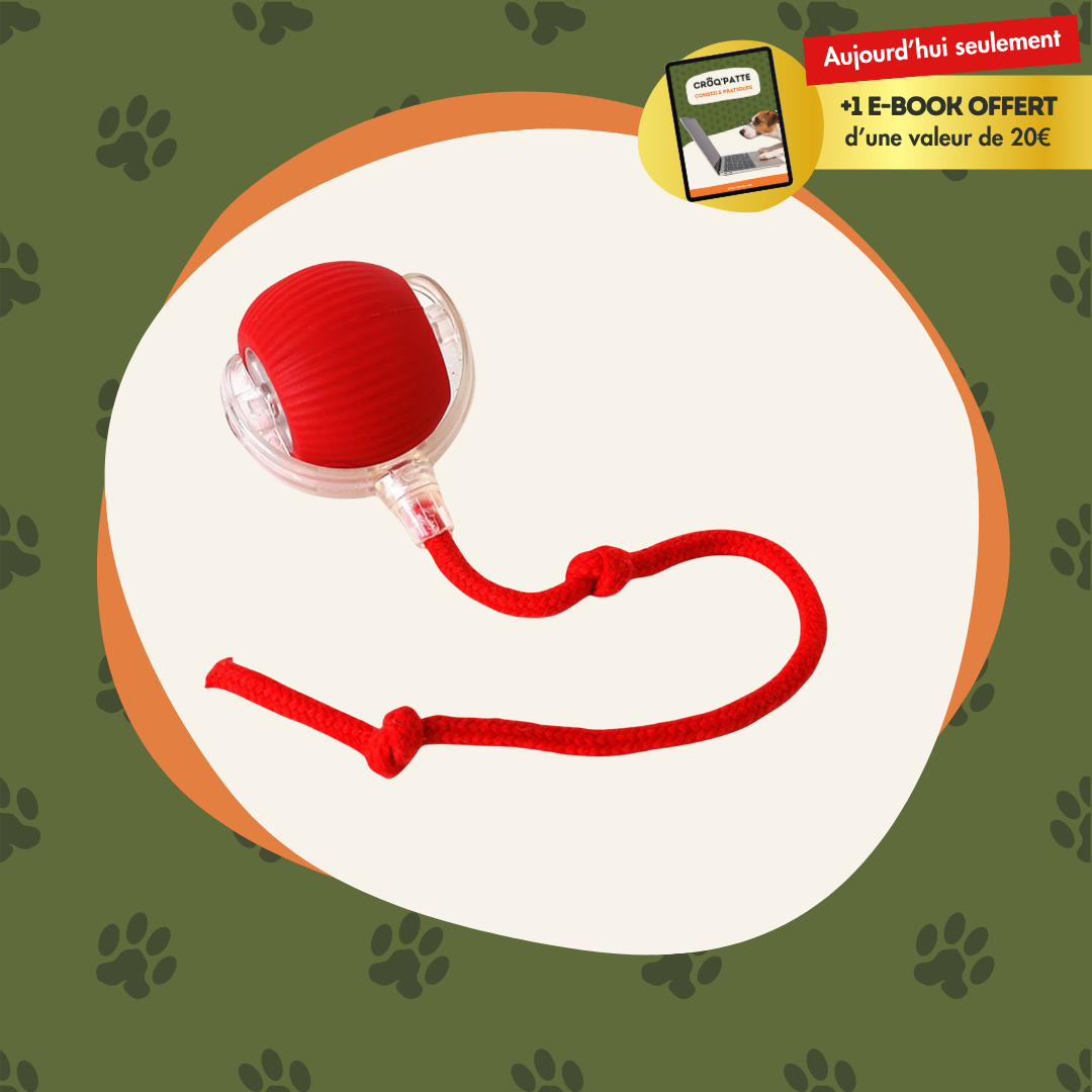 SpeedBall™ - La balle magique