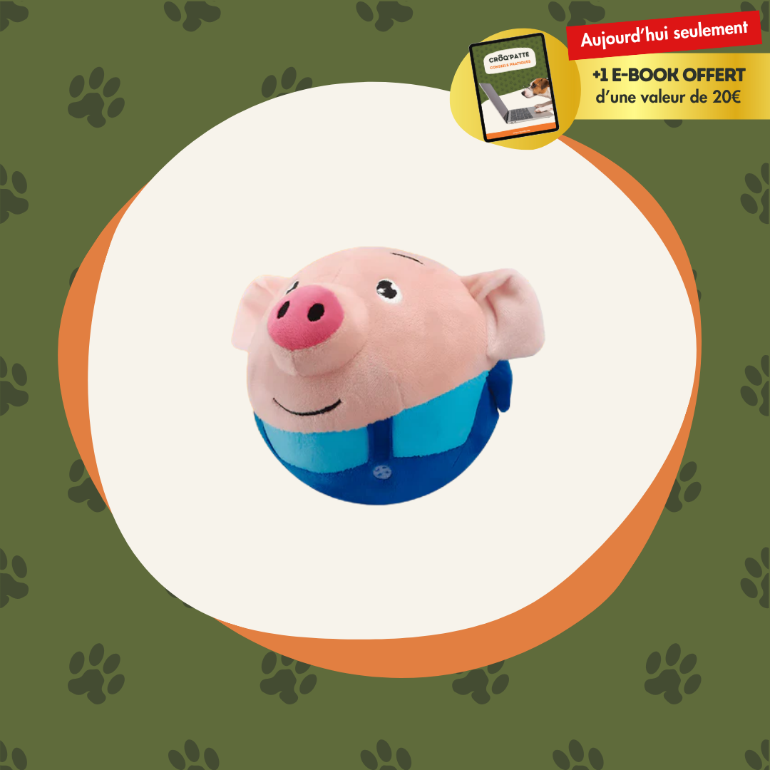 Pepadingo™ - Le cochon complètement dingo