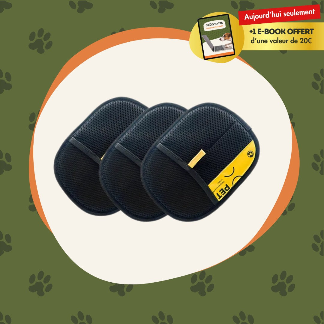 SpeedClean™ - La solution ultime contre les poils des chats